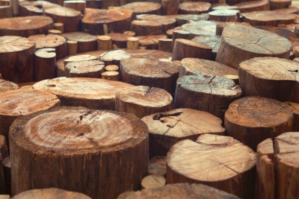 Teak Wood
